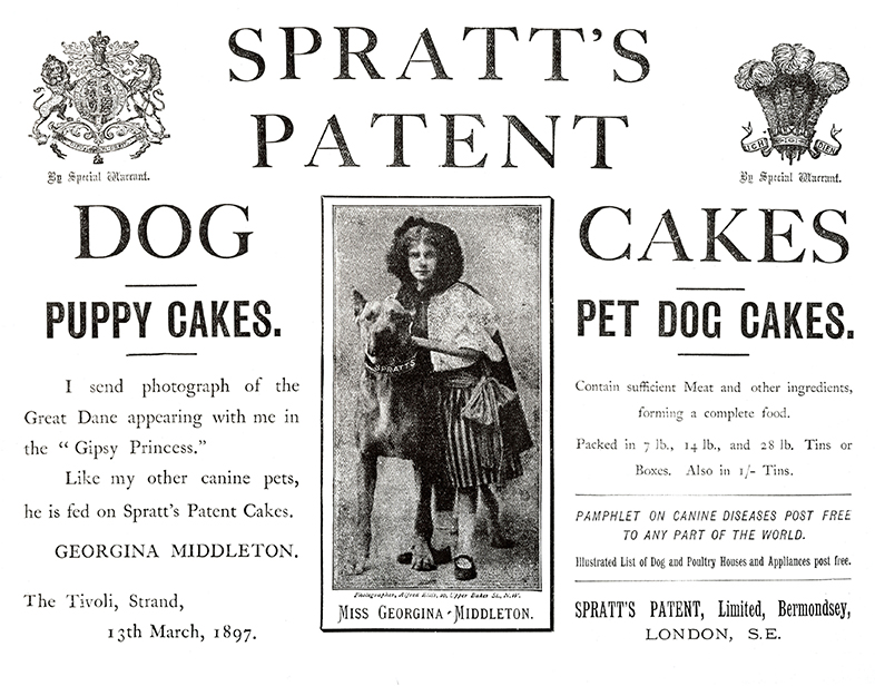 spratts dog cakes