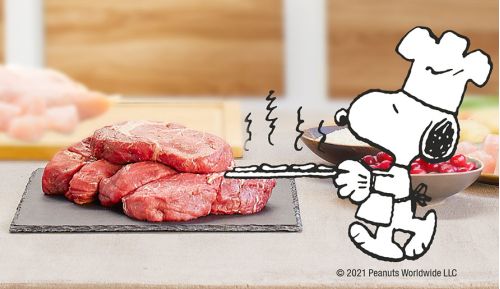 Healthy dogs with DRY FOOD through Fleischsaftgarung